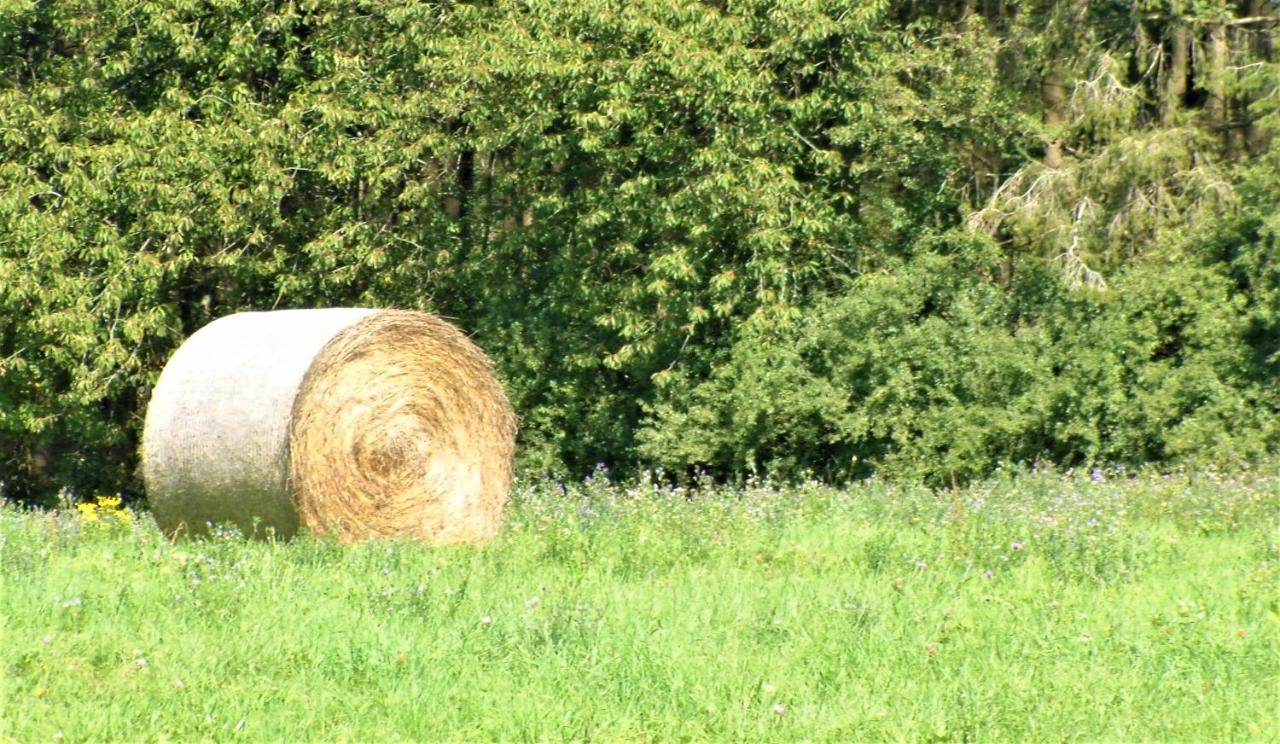 Aux Saveurs D'Enneille Bed and Breakfast Durbuy Buitenkant foto